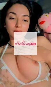 Zorrita hermosa